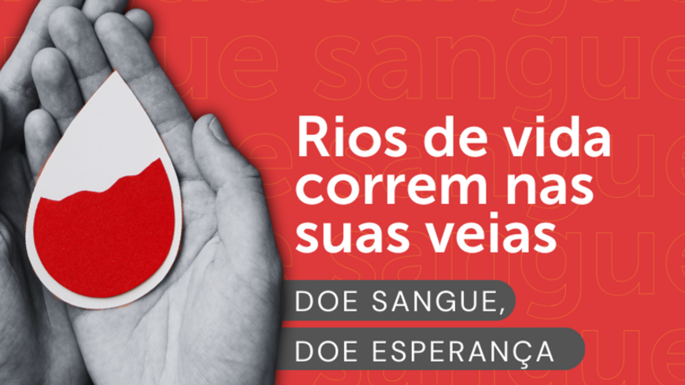 O Dia Nacional do Doador de Sangue é mais do que uma simples data no calendário